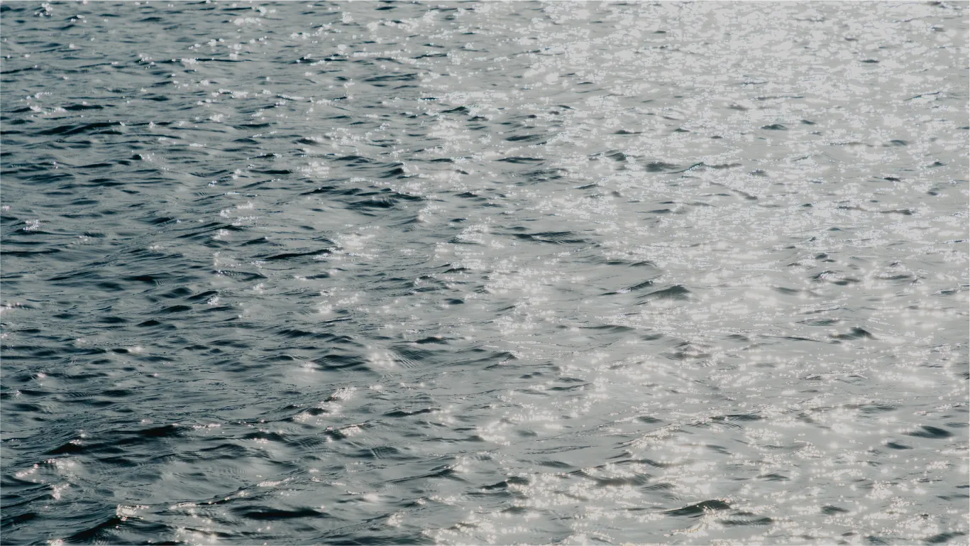 光を反射する海面